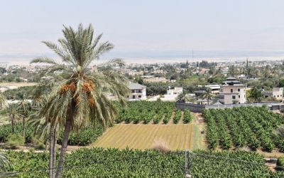 Jericho West Bank Palestine (158)