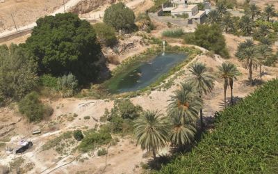 Jericho West Bank Palestine (60)