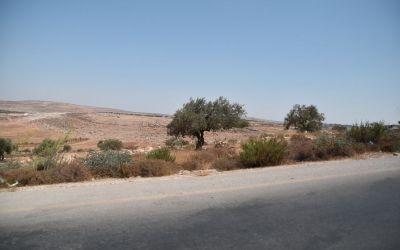 Jordan Valley Close To Jericho West Bank Palestine (18)