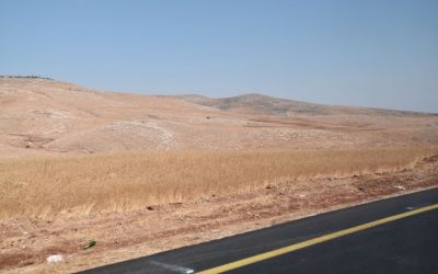 Jordan Valley Close To Jericho West Bank Palestine (28)
