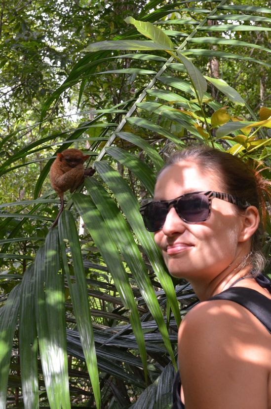 crazy sexy fun traveler with a tarsier in Bohol crazy sexy fun traveler with a tarsier in Bohol