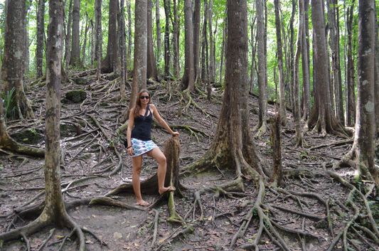 crazy sexy fun traveler in Mahogany man-made forest in Bohol crazy sexy fun traveler in Mahogany man-made forest in Bohol
