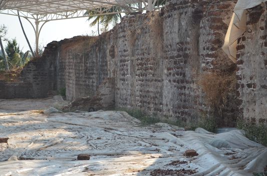 Muziris Pattanam excavation site (4)