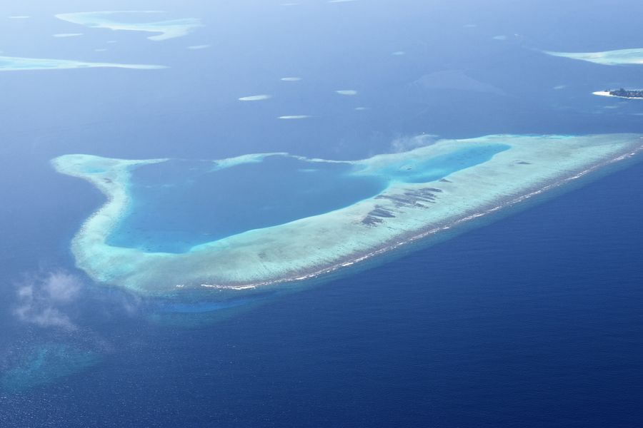 Maldivy zhora