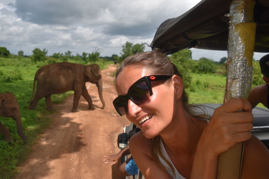 safari slony Sri Lanka