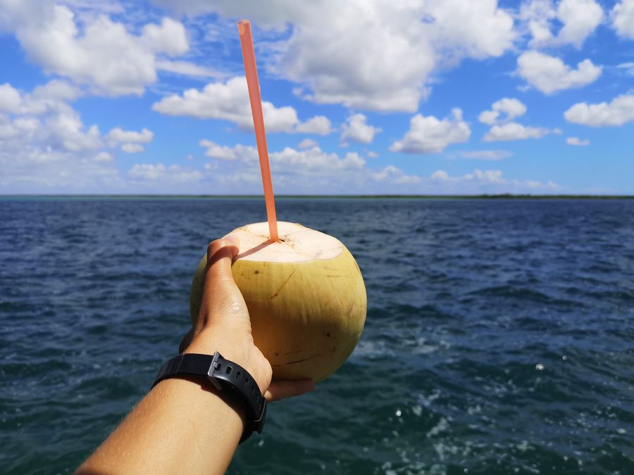 popijam mlady kokos pri Bacalar laguna