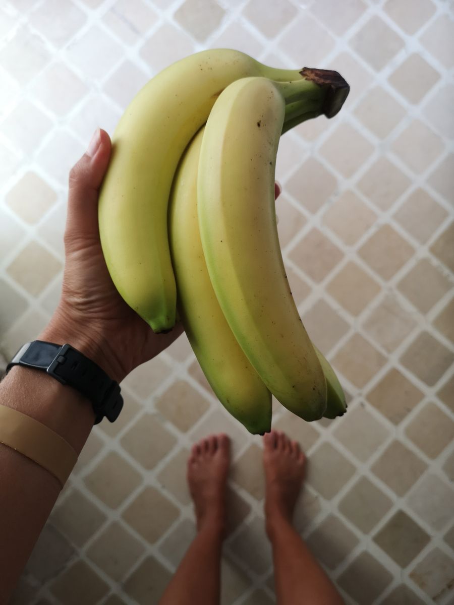banany co mi casnik K doniesol