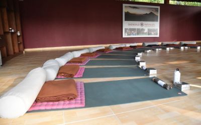 Ayurveda And Yoga One World Retreats Bali (75)