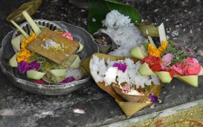 Ayurveda And Yoga One World Retreat Bali (17)