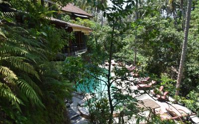 Ayurveda And Yoga One World Retreat Bali (25)