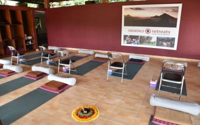 Ayurveda And Yoga One World Retreat Bali (30)