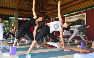 Ayurveda And Yoga One World Retreat Bali (9)