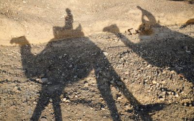 Camel Ranch Eilat 4