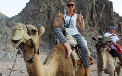 Camel Ranch Eilat 5
