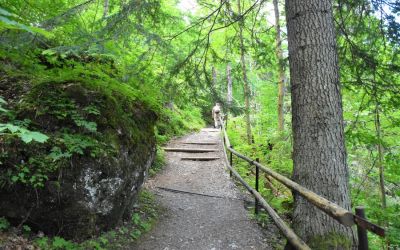 Dobsinska Ice Cave Slovakia Slovak Paradise (3)