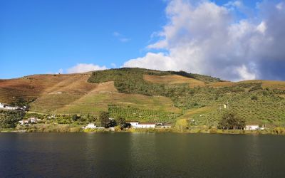 Douro River Vegan Cruise (101)