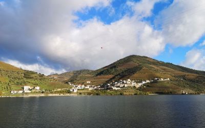 Douro River Vegan Cruise (102)