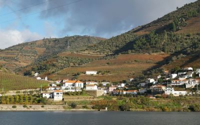 Douro River Vegan Cruise (104)