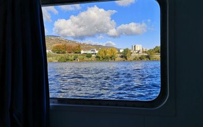 Douro River Vegan Cruise (113)