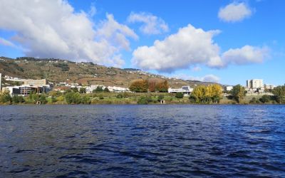 Douro River Vegan Cruise (114)