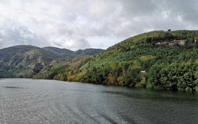 Douro River Vegan Cruise (19)