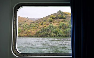 Douro River Vegan Cruise (37)