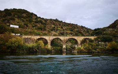 Douro River Vegan Cruise (49)