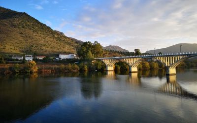 Douro River Vegan Cruise (61)