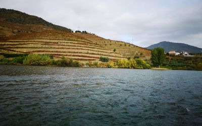 Douro River Vegan Cruise (78)