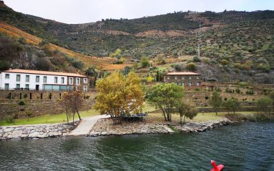 Douro River Vegan Cruise (90)