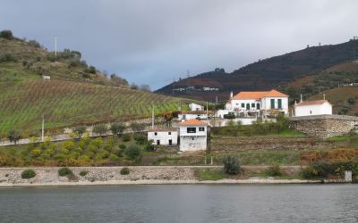 Douro River Vegan Cruise (98)