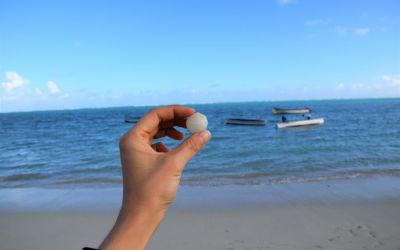 Graviers Beach Rodrigues Island Top Things To Do On Rodrigues Island Mauritius (62)