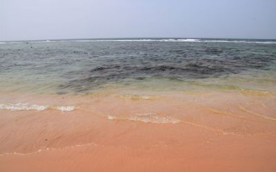 Hikkaduwa Beach Best Beaches In Southern Sri Lanka (29)