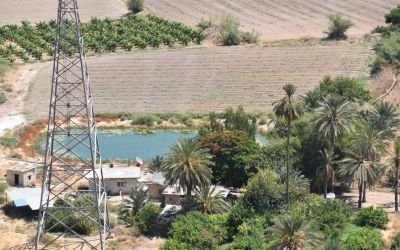 Jericho West Bank Palestine (71)