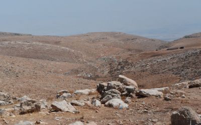 Jordan Valley Close To Jericho West Bank Palestine (26)