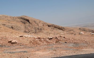 Jordan Valley Close To Jericho West Bank Palestine (32)