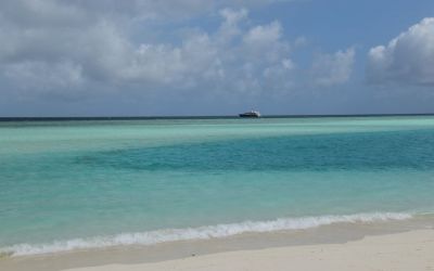 Madivaru Finolhu Sandbank Rasdhoo Atoll Maldives (4)