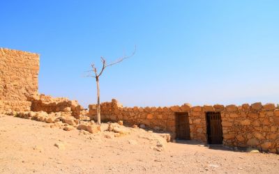 Masada Visit Israel (10)