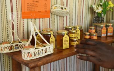 Miel Victoria Bee Farm Rodrigues Island Top Things To Do On Rodrigues Island Mauritius (9)