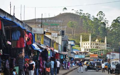 Munnar Tea Plantations And Other Landmarks (24)