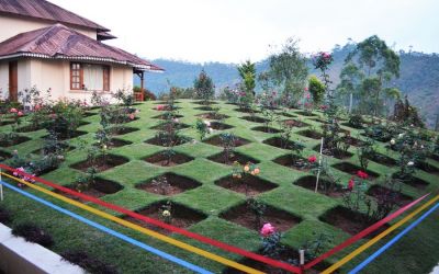 Munnar Tea Plantations And Other Landmarks (55)