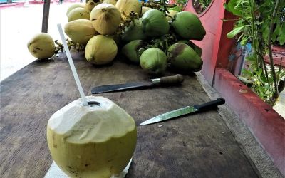 Thoddoo Maldives coconuts