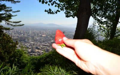 eating-strawberries-on-top-of-cerro-san-cristobal