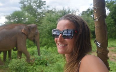 Elephants Udawalawe National Park Sri Lanka (54)