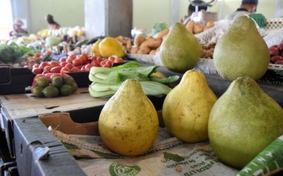 Market Port Mathurin Rodrigues Island Top Things To Do On Rodrigues Island Mauritius (108)