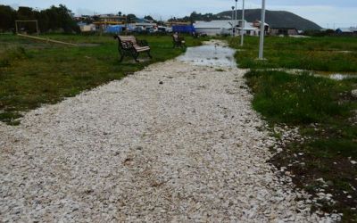 pathway-with-shells-in-ancud