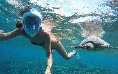 Gaafaru Maldives snorkeling with turtles