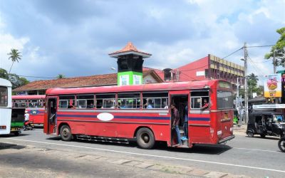 Travel Sri Lanka (3)