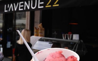 Vegan Ice Cream Nis L'Avenue 22