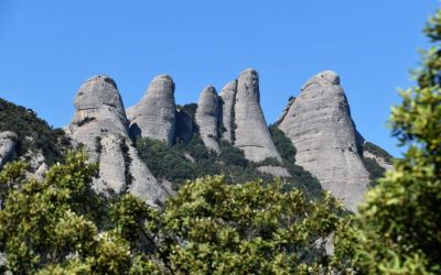 Visit Montserrat From Barcelona Montserrat Withlocals (11)